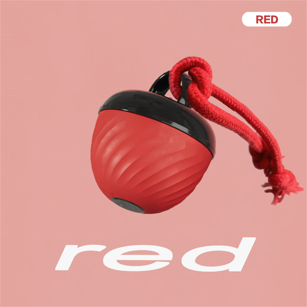 Pet Ball for Dogs Interactive Toys Motion Activate Rolling Ball for Puppy/Small Dogs Automatic Moving Toy USB Rechargeable Toy