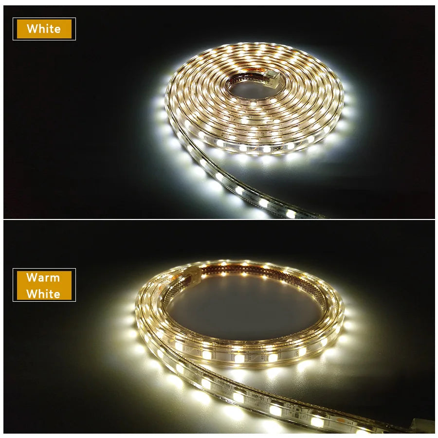 LED Strip Light 220V Waterproof Led strip High Brightness 5050 Flexible Kitchen Outdoor Garden Led Lights With Power Plug 1M-25M