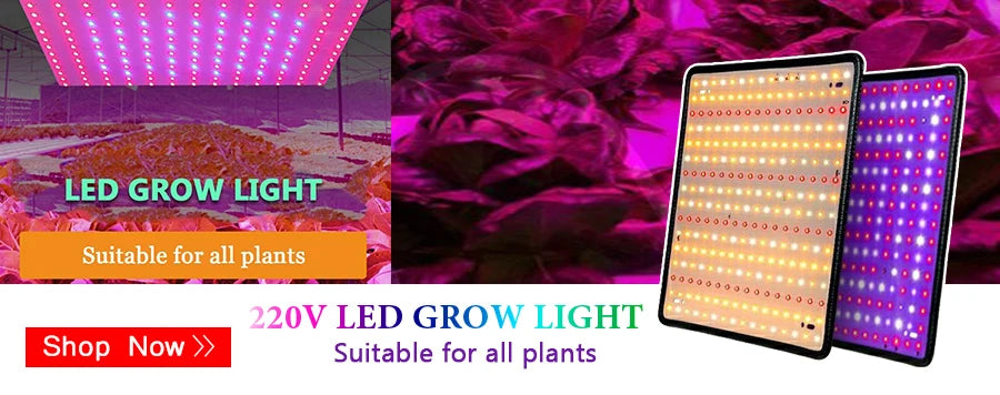 LED Strip Light 220V Waterproof Led strip High Brightness 5050 Flexible Kitchen Outdoor Garden Led Lights With Power Plug 1M-25M