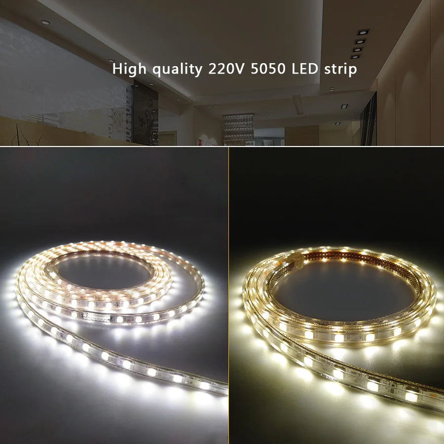 LED Strip Light 220V Waterproof Led strip High Brightness 5050 Flexible Kitchen Outdoor Garden Led Lights With Power Plug 1M-25M