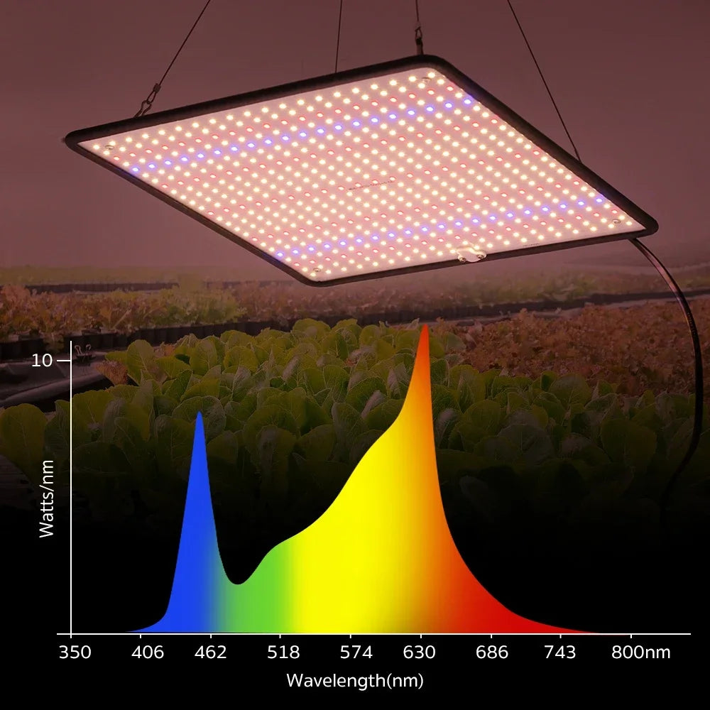 40W LED Grow Light Full Spectrum Phyto Lamp for Indoor Grow Tent Plants Growth AC85-240V Universal Voltage