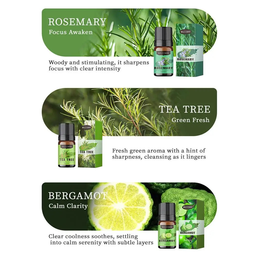 12 Flavors Essential Oils For Aroma Diffuser AirHumidifier Home Water-soluble Lavender Eucalyptus Lemon Bergamot 5ml