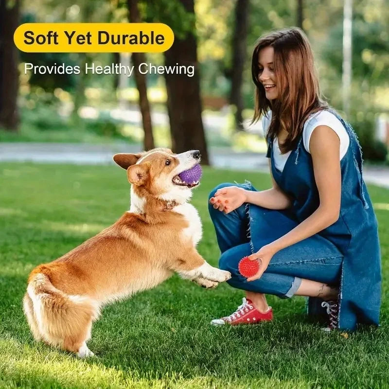 Pet Dog Toys Dog Squeaky Ball Toy Pet Dental Chewing Tooth Cleaning TPR Sounding Ball Dog Thorn Interactive Burr Balls Supplies