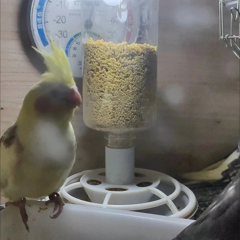 Automatic Bird Feeder with Anti-Scatter, Parrot Food Dispenser for Cage, Hanging Hook Auto-Feeding Container for Small Birds ﻿