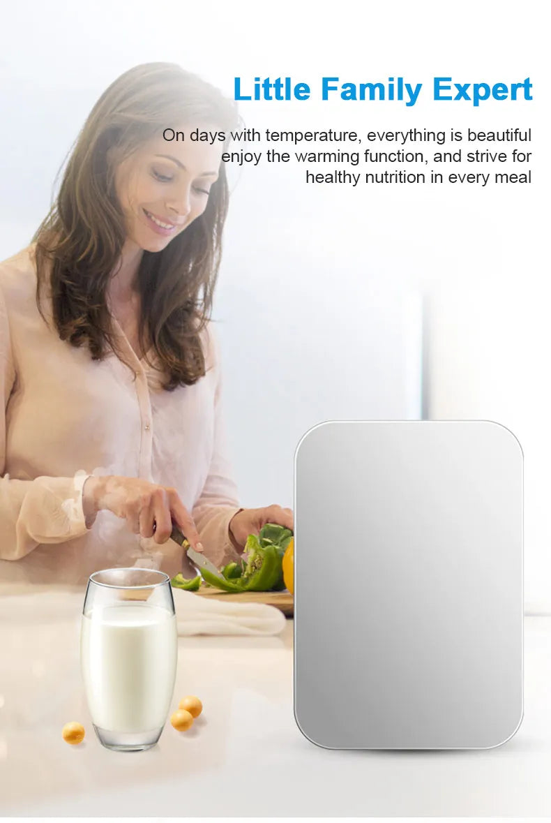 12V/220V Mini Fridge Refrigerator Beauty Cooler Warmer Refrigerators Constant Temperature Skincare Preservation for HOME CAR