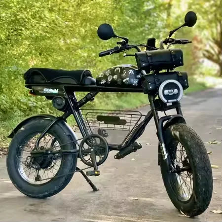 20x4.0 26*4.0 Dual Crown Motor Fork QR 9*135mm 15*135mm Beach Snow Bike Electric Fat Tire Bike Motorcycle Double Crown Air Fork