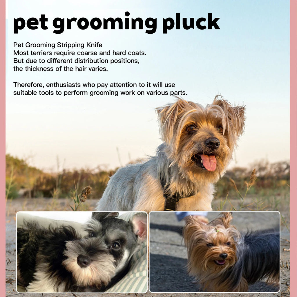 Dog Grooming Tools Dog Comb Pet Grooming Brush Terrier Plucking Knife Pet Hair Beating Knife Scraper Comb Dog Accessories