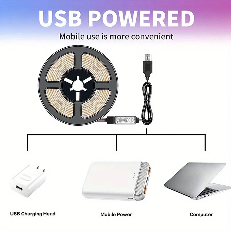 12LEDs/M LED Light Strip with Adhesive Adjustable Brightness RGB Color Changing Lights RGB Lighting USB 5V RGB LED Lights