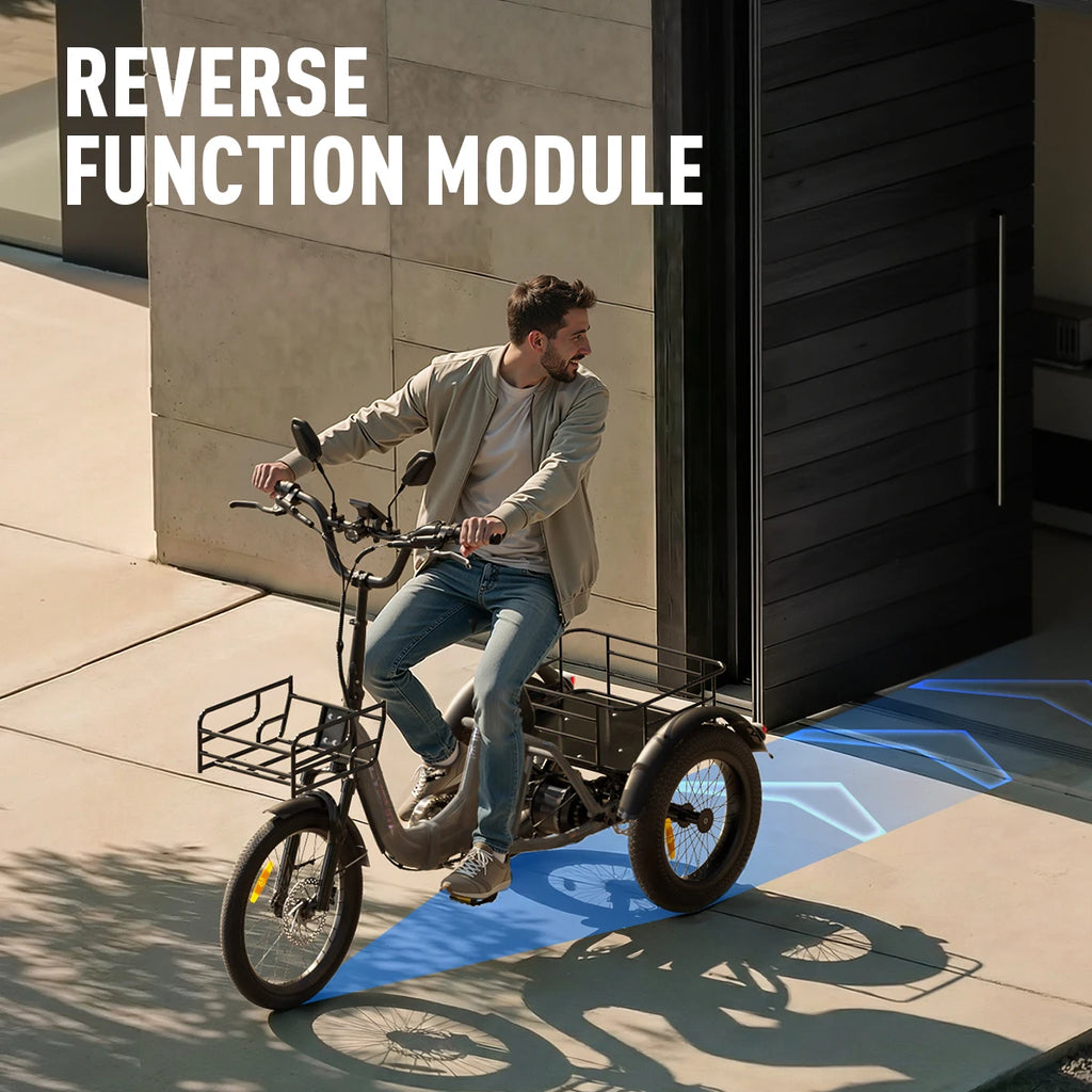 Electric Tricycle 750W Motor 48V 20AH Remover lithium Battery Foldable 3 Wheel Electric Bike 16 Inch Fat Tire 100km Ebike