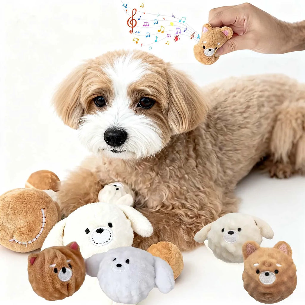 Pet Chew Ball Toys  Spiked Bouncing Puppy Teething Ball with Squeaker Interactive Teeth Cleaning Toy for Small Dogs  Cats Poodle