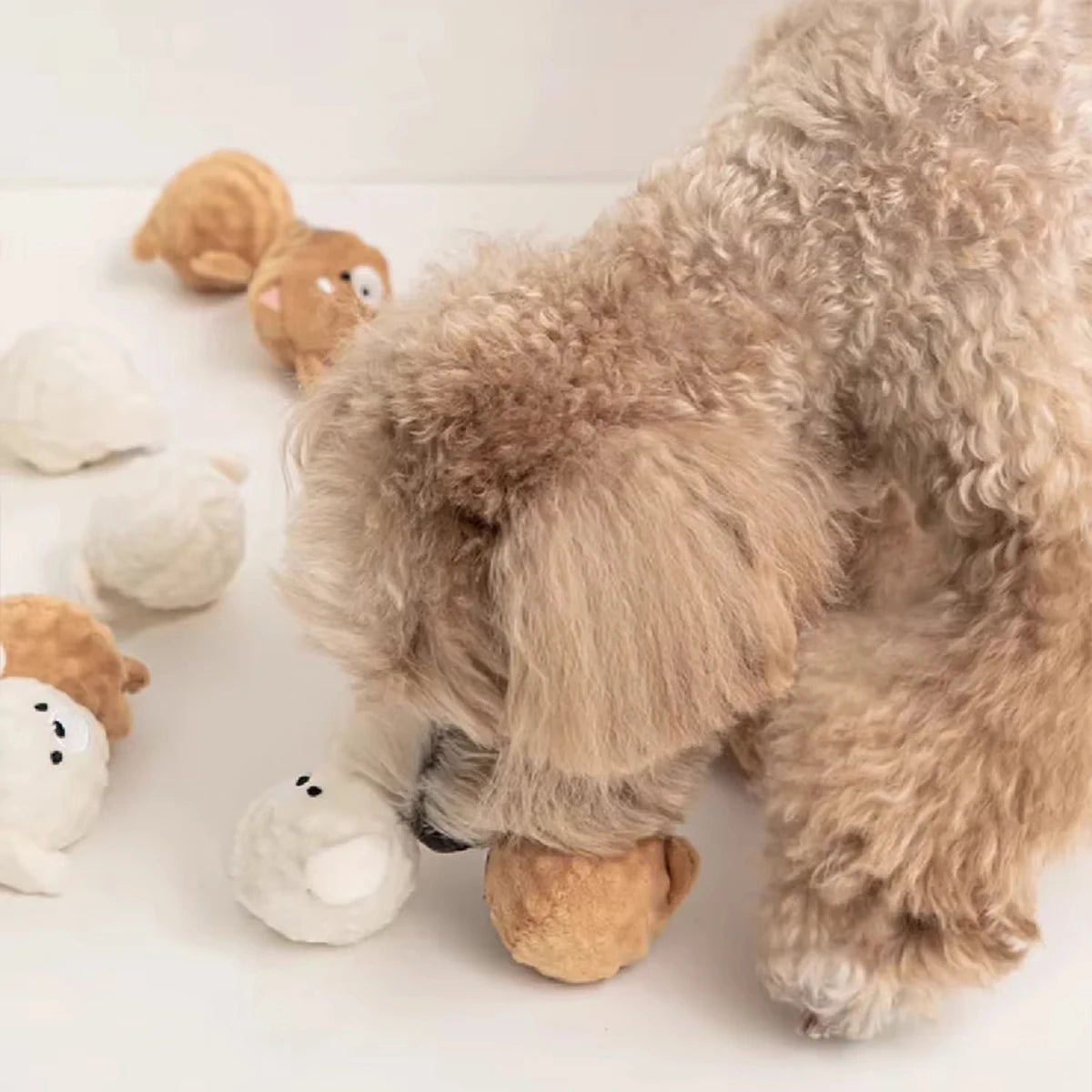 Pet Chew Ball Toys  Spiked Bouncing Puppy Teething Ball with Squeaker Interactive Teeth Cleaning Toy for Small Dogs  Cats Poodle