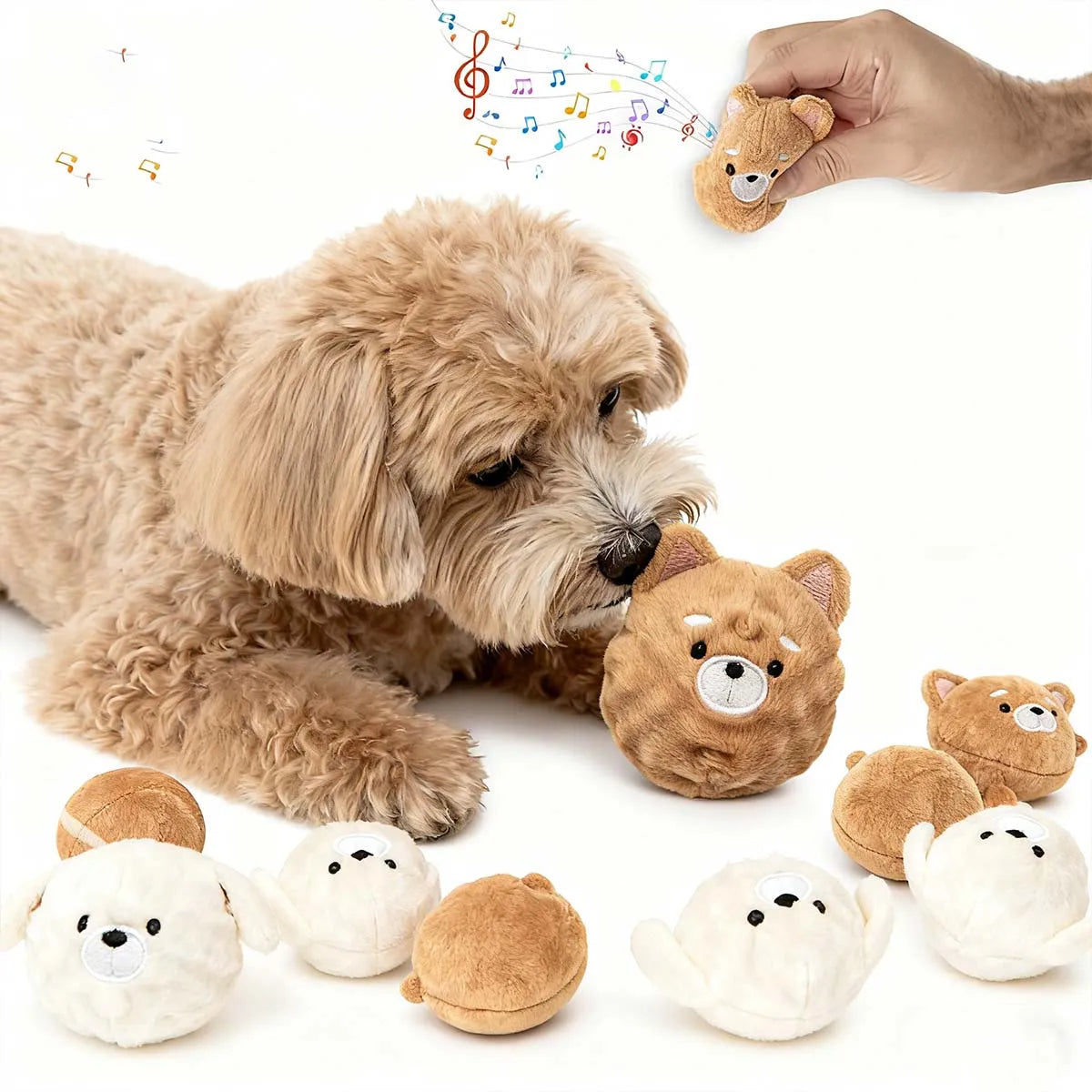 Pet Chew Ball Toys  Spiked Bouncing Puppy Teething Ball with Squeaker Interactive Teeth Cleaning Toy for Small Dogs  Cats Poodle