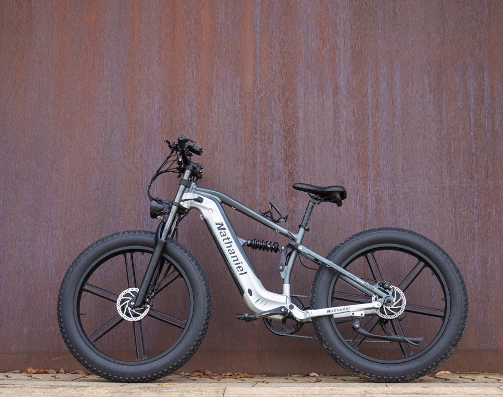 Nathaniel 2000W E-Bike SYR09 Dual Drive 26x4.0 Fat Tire 48V20AH Battery E-Mountain Bike Outdoor Sports All-Terrain Electric Bike