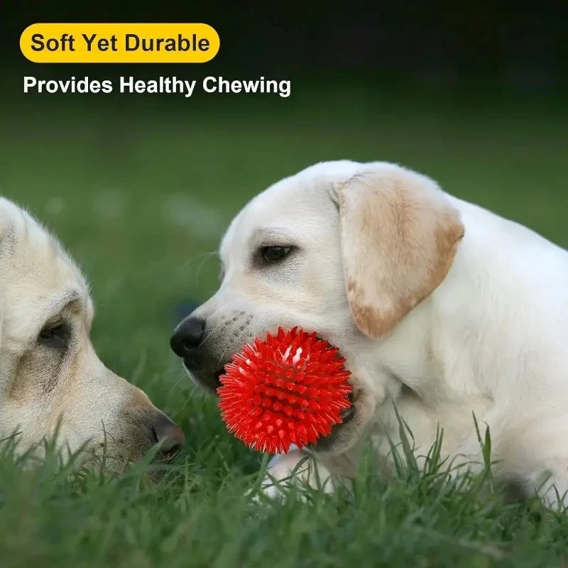 Pet Dog Toys Dog Squeaky Ball Toy Pet Dental Chewing Tooth Cleaning TPR Sounding Ball Dog Thorn Interactive Burr Balls Supplies