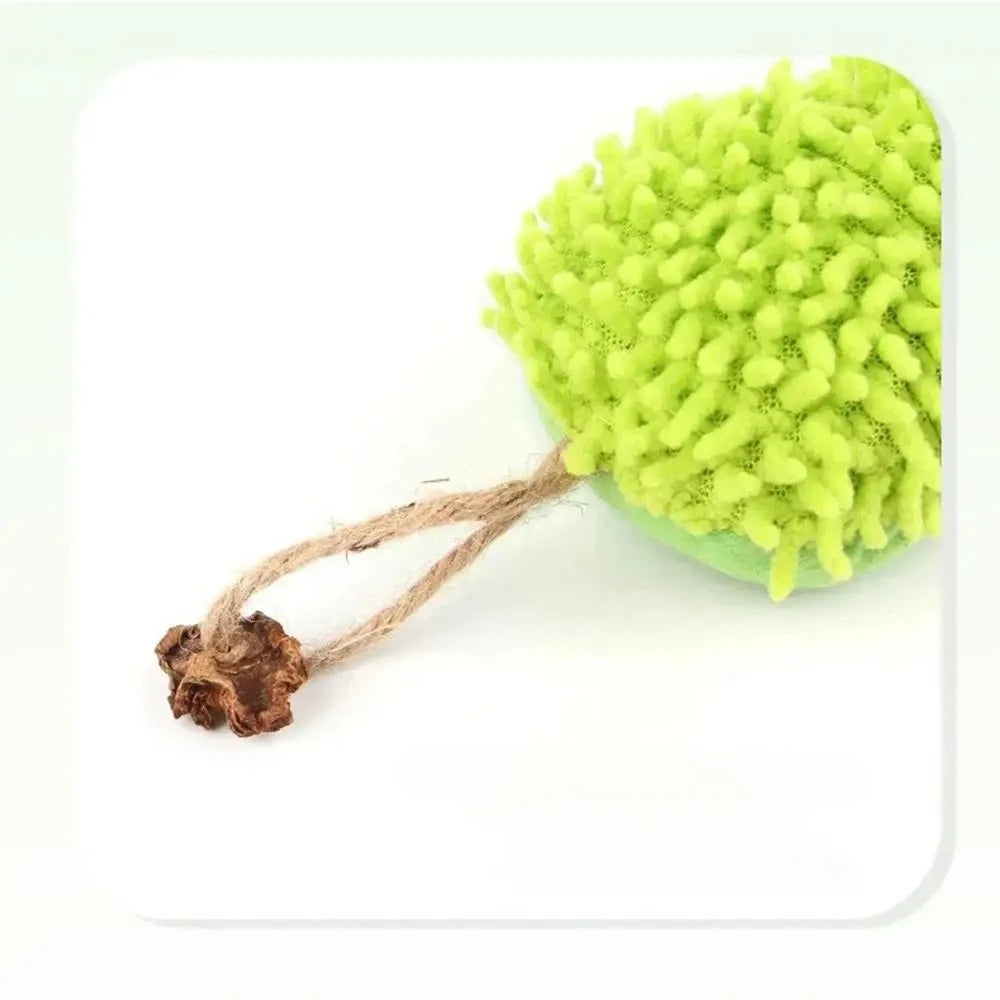 Cat toys, with super soft wrinkled sounds, pet chewing toys, indoor toys for cats' teething interaction