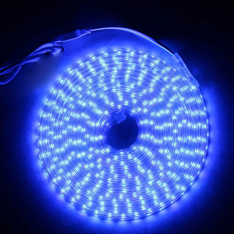 LED Strip Light 220V Waterproof Led strip High Brightness 5050 Flexible Kitchen Outdoor Garden Led Lights With Power Plug 1M-25M
