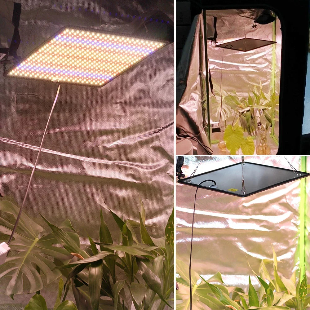 40W LED Grow Light Full Spectrum Phyto Lamp for Indoor Grow Tent Plants Growth AC85-240V Universal Voltage