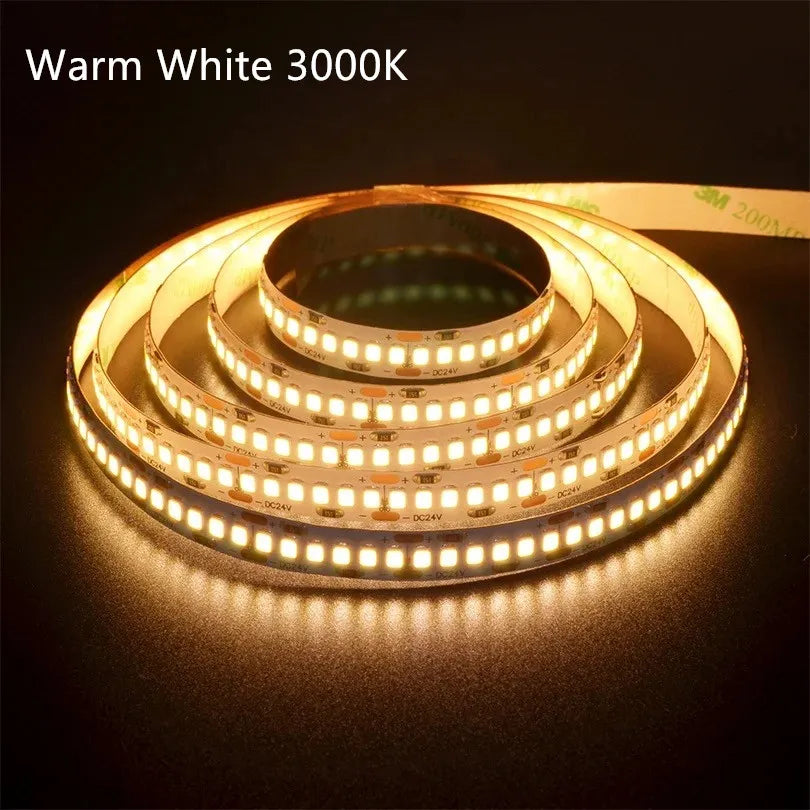 10Meters LED Strip Lights 2835 Flex Tape 12V 24V Rope 2400leds Cool White 6500K Nature White 4000K Warm White 3000K