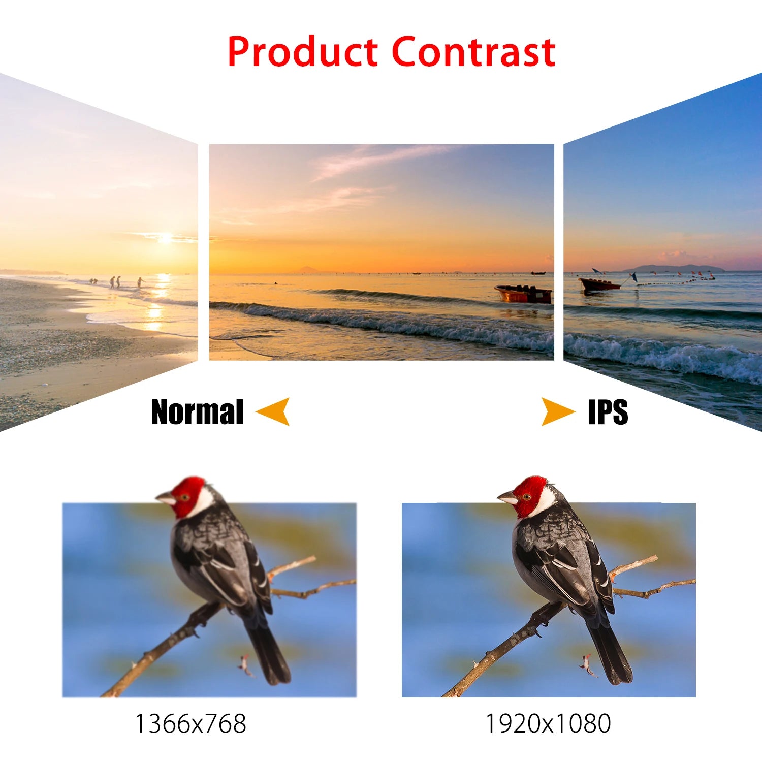 Eyoyo 12 Inch CCTV Surveillance Security Monitor HD 1920*1080 IPS LCD Home Office Desktop Display With Speaker VGA BNC USB Input