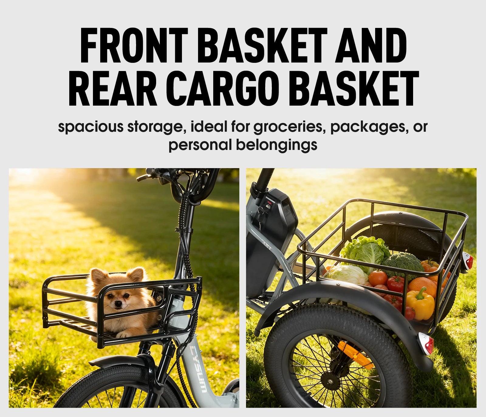Electric Tricycle 750W Motor 48V 20AH Remover lithium Battery Foldable 3 Wheel Electric Bike 16 Inch Fat Tire 100km Ebike