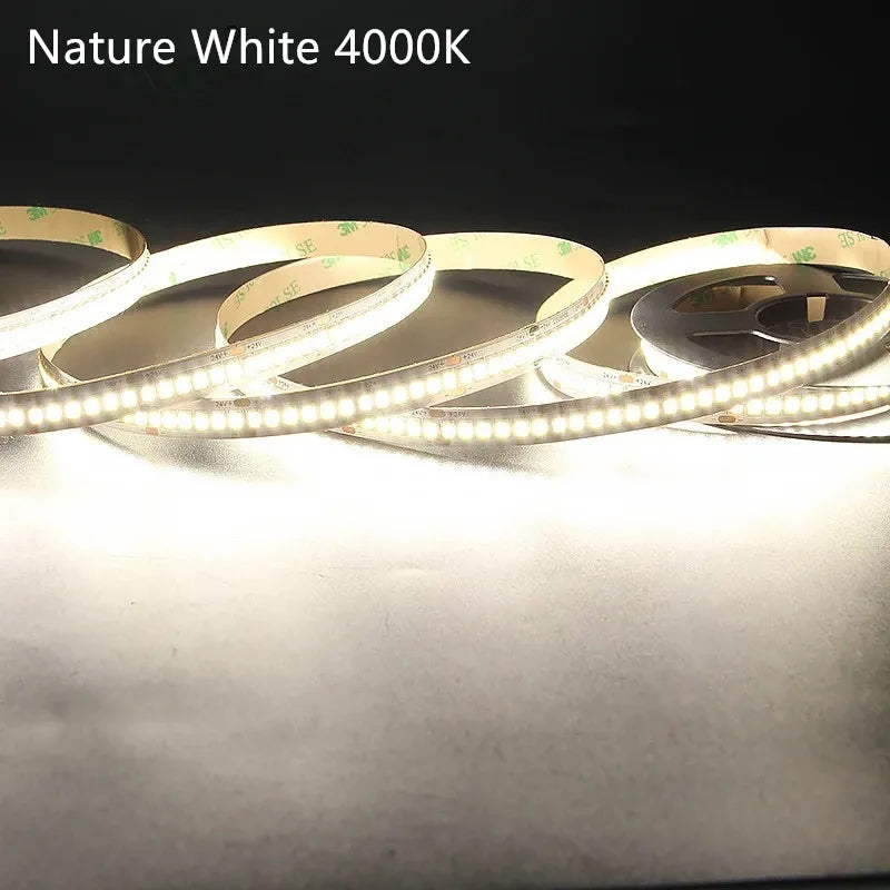 10Meters LED Strip Lights 2835 Flex Tape 12V 24V Rope 2400leds Cool White 6500K Nature White 4000K Warm White 3000K