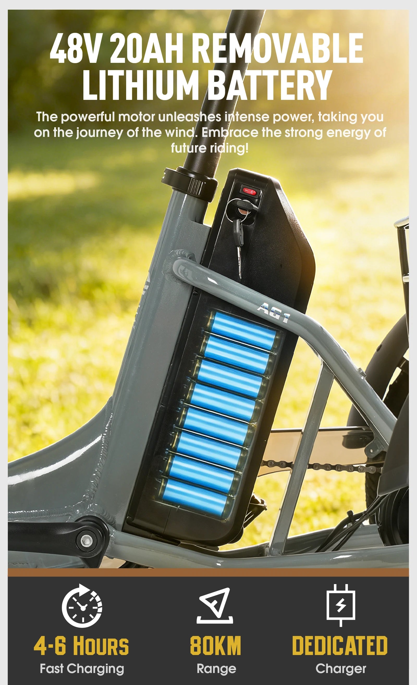 Electric Tricycle 750W Motor 48V 20AH Remover lithium Battery Foldable 3 Wheel Electric Bike 16 Inch Fat Tire 100km Ebike