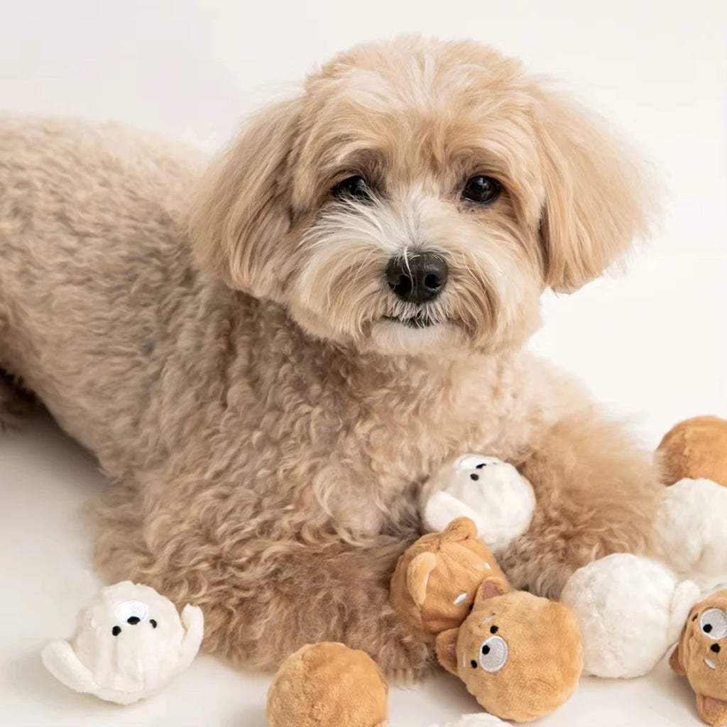 Pet Chew Ball Toys  Spiked Bouncing Puppy Teething Ball with Squeaker Interactive Teeth Cleaning Toy for Small Dogs  Cats Poodle