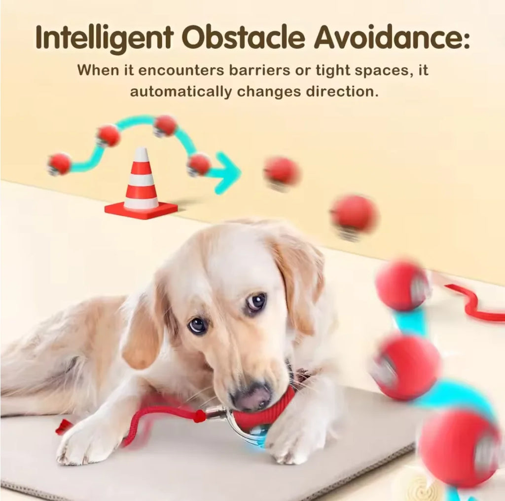 Hot cat toys are automatically teasing cat balls and self-exciting cat sticks and ticks and resistant to wear and bite pet toys