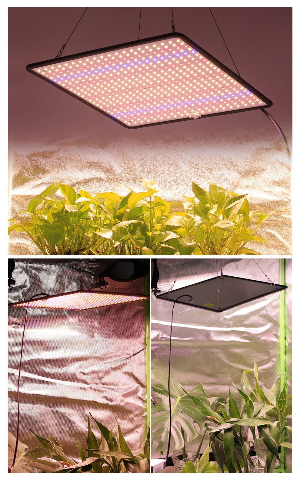 40W LED Grow Light Full Spectrum Phyto Lamp for Indoor Grow Tent Plants Growth AC85-240V Universal Voltage