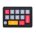 12Keys USB Wired Mechanical Gaming Keyboard, Programming KeyPad with Knobs, RGB LED Backlit KeyPad Macro Support One-Hande