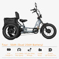 High Power Long Range Dual Motor Dual Battery 3 Wheel E Cargo Trike Adults Sand and Snow Fat Tire Electric Delivery Tricycle