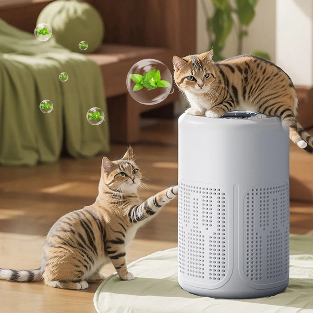 Mini Desktop Air Purifier HEPA Filter With Negative Ion Technology Eliminates Formaldehyde Odors Smoke And Dust Particles