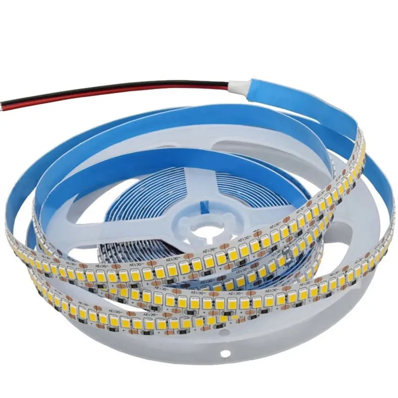 10Meters LED Strip Lights 2835 Flex Tape 12V 24V Rope 2400leds Cool White 6500K Nature White 4000K Warm White 3000K