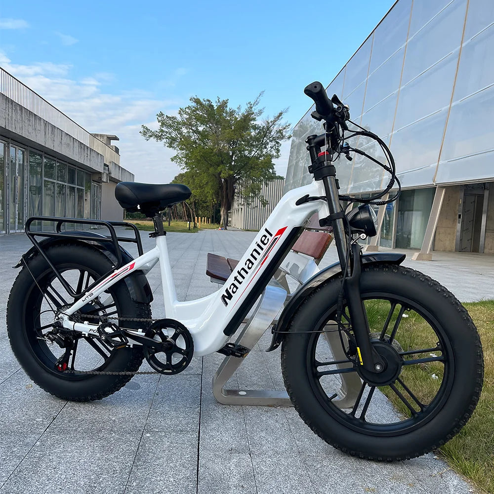 Nathaniel SYR08 2000W Dual Motor E-Bike,20*4.0 Fat Tire,20AH Detachable battery,Speed 50+,Daily commuting, Adult Electric Bike