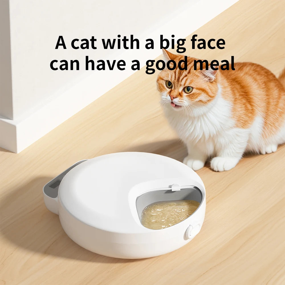 Automatic feeder for wet food, four pet feeders for different foods, dry and wet food cat feeding bowl with ice packs