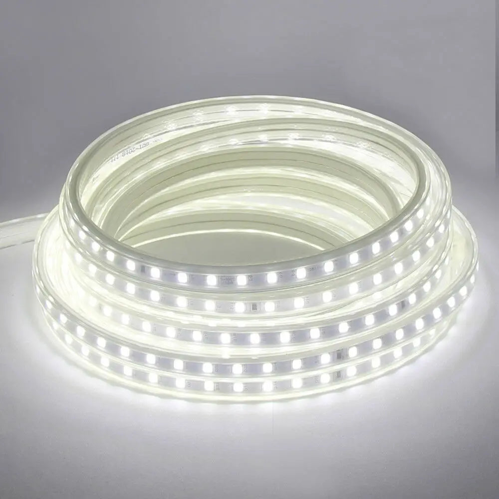 LED Strip Light 220V Waterproof Led strip High Brightness 5050 Flexible Kitchen Outdoor Garden Led Lights With Power Plug 1M-25M