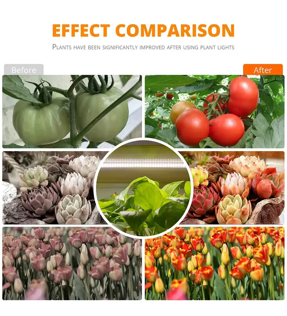 LED Grow Light Strips for Indoor Plants Full Spectrum，Plant Light Bar with3/9/12H Timer,10Dimmable Levels for Seedling Succulent