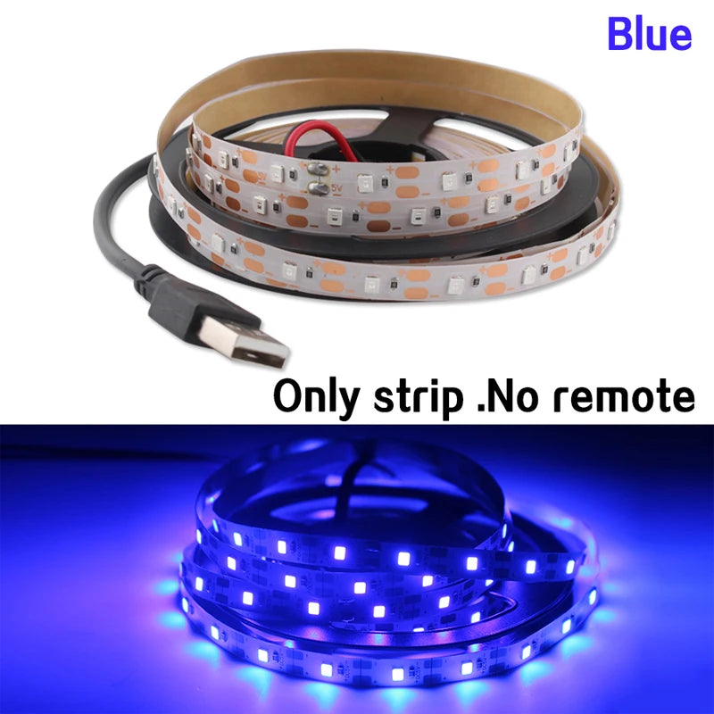 LED Strip Light USB DC 5V SMD 2835 With Controller LED Strip Lights Flexible Lamp Tape Ribbon TV Desktop Screen BackLight Diode