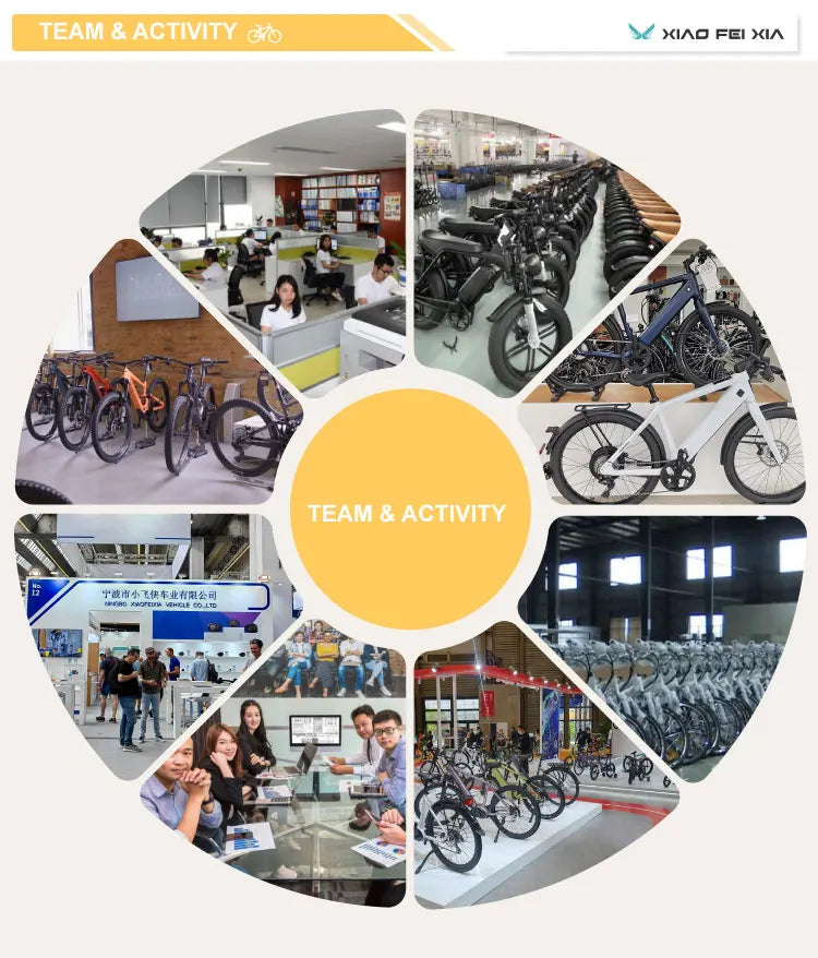 2026 New Model Mountain Electric Bicycle 48V 1000W 17.4Ah Mid-Drive Motor, 26"×4.0 Fat Tire Ebike For Outdoor & Adults