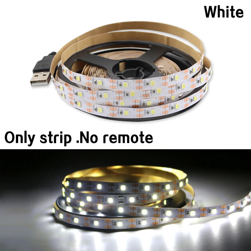 LED Strip Light USB DC 5V SMD 2835 With Controller LED Strip Lights Flexible Lamp Tape Ribbon TV Desktop Screen BackLight Diode
