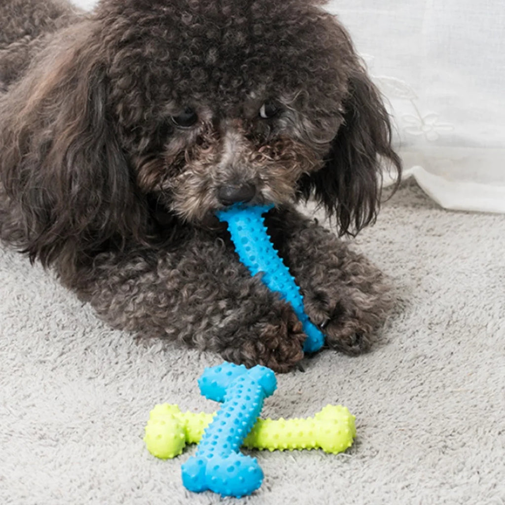 Pet Dog Toy Non-toxic Rubber Toy Teeth Cleaning Chew Training Toys Funny Nipple Ball for Cat Puppy Baby Dogs Interactive Game