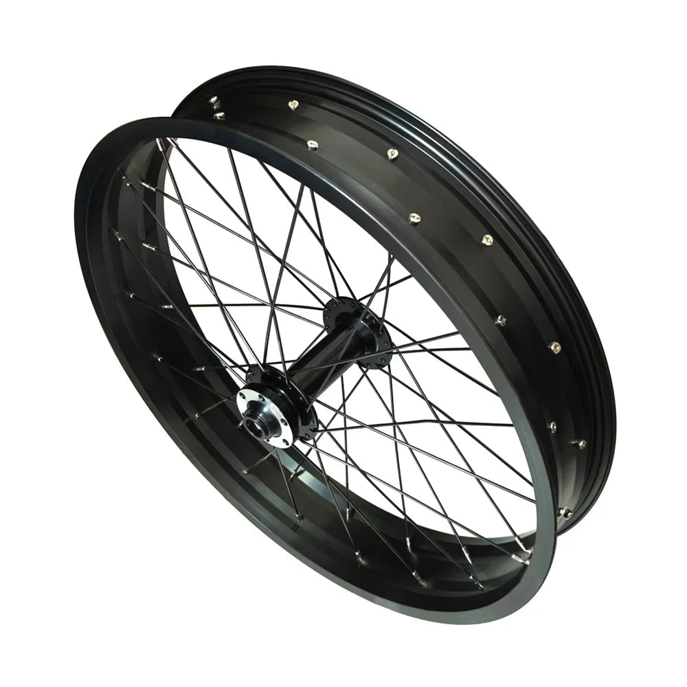 Bicycle Wheel Aluminum Alloy Front Wheel 20 x 4.0 36 Spokes Wide Tire Bicycle For Fat Bikes Snow Bikes