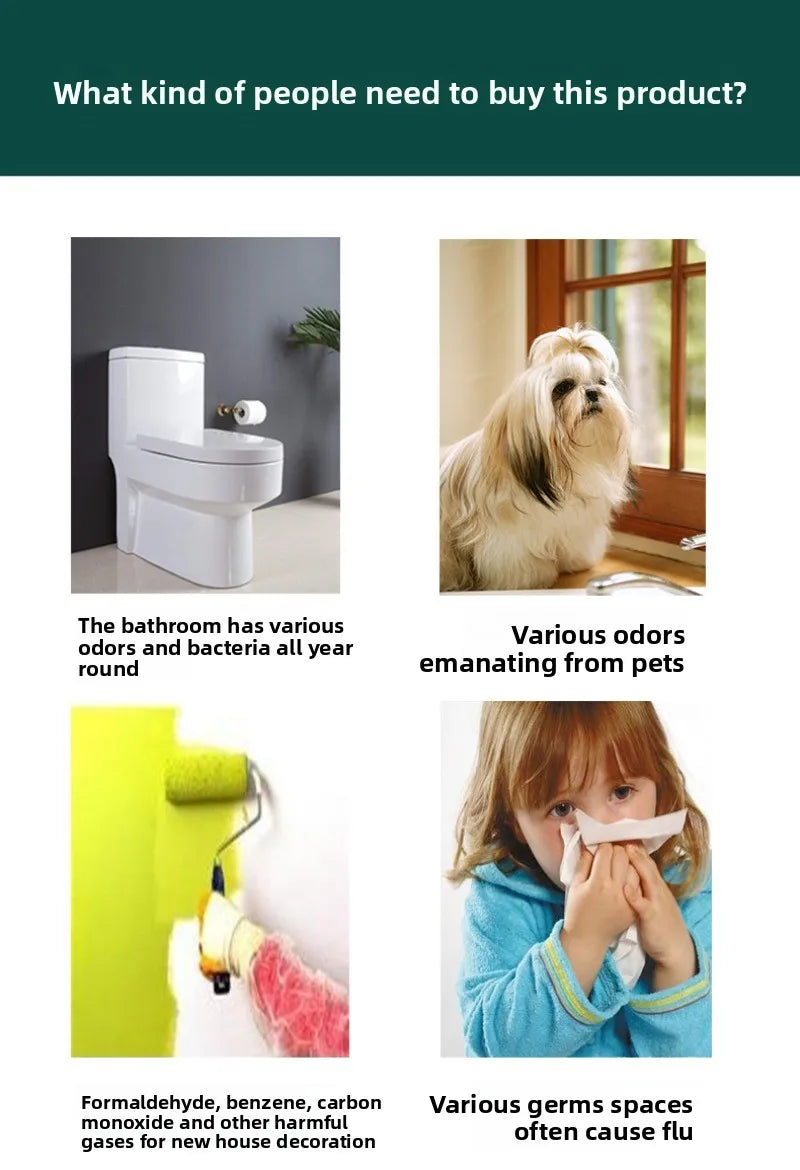 Negative Ion Air Purifier Plug-in Portable Negative Ion Generator for Rooms with Odors Smoke PM 2.5 Toilet Kitchen Air Purifier
