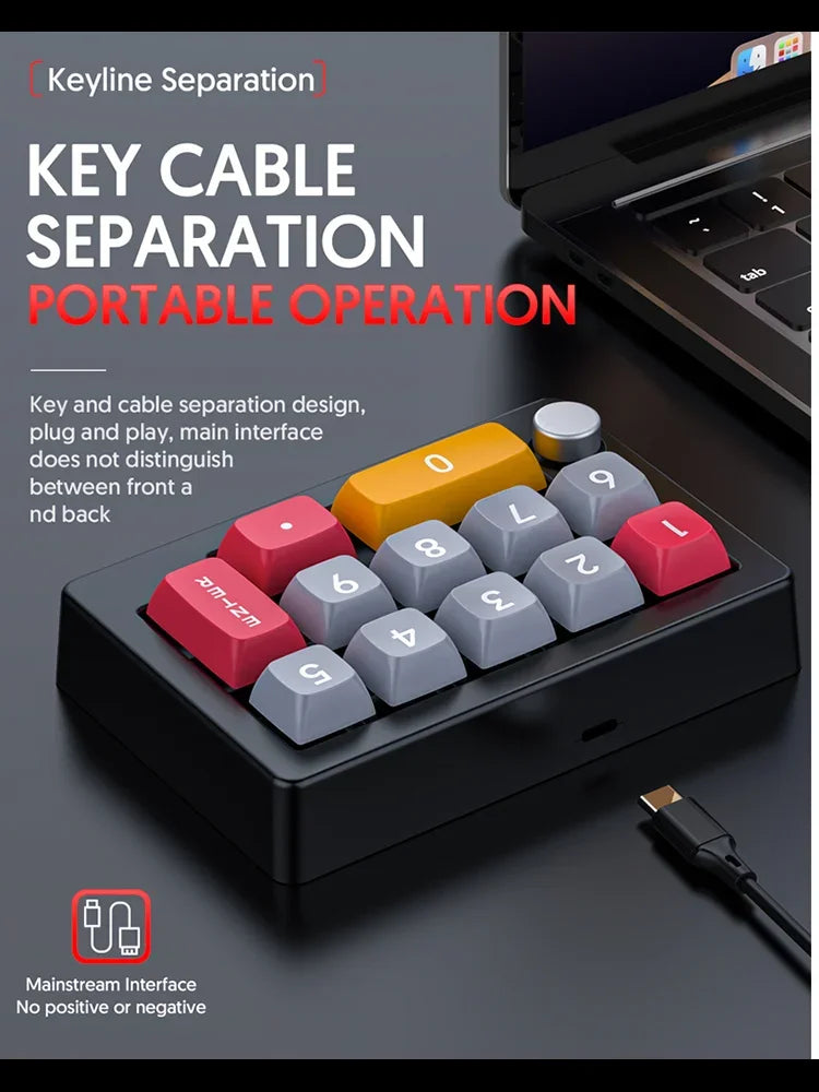 12Keys USB Wired Mechanical Gaming Keyboard, Programming KeyPad with Knobs, RGB LED Backlit KeyPad Macro Support One-Hande
