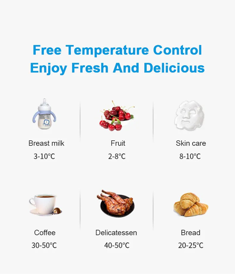 12V/220V Mini Fridge Refrigerator Beauty Cooler Warmer Refrigerators Constant Temperature Skincare Preservation for HOME CAR