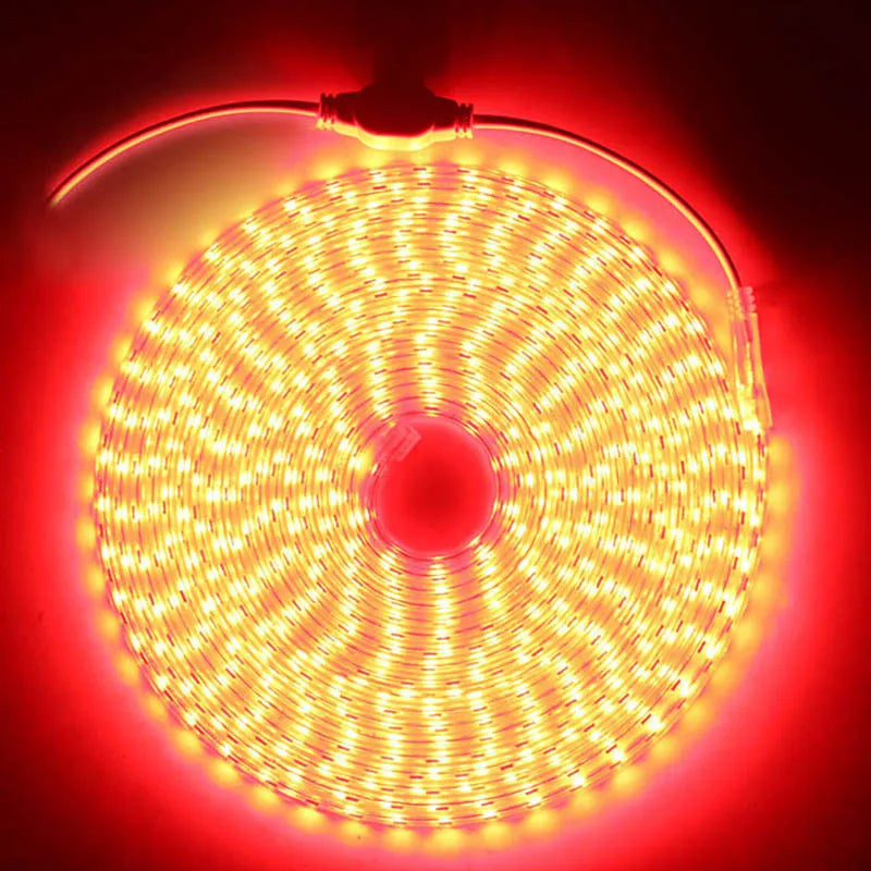 LED Strip Light 220V Waterproof Led strip High Brightness 5050 Flexible Kitchen Outdoor Garden Led Lights With Power Plug 1M-25M