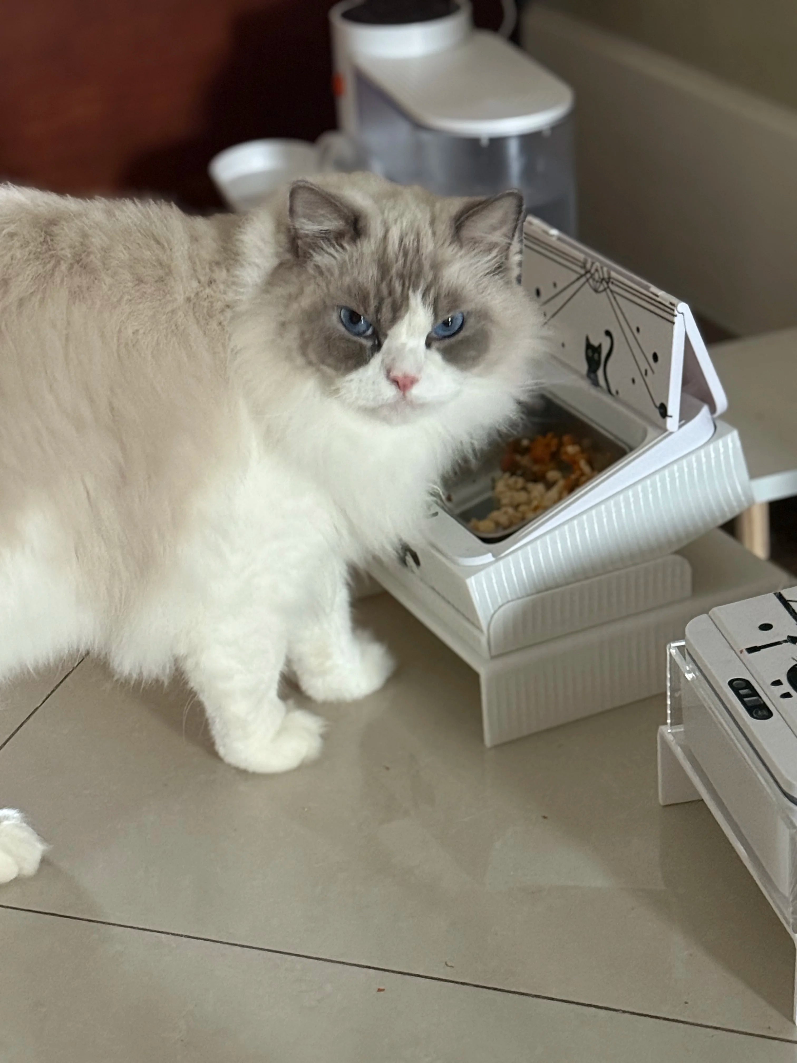Automatic dog and cat feeder with dual sensing technology (RFID/IR) and customizable design