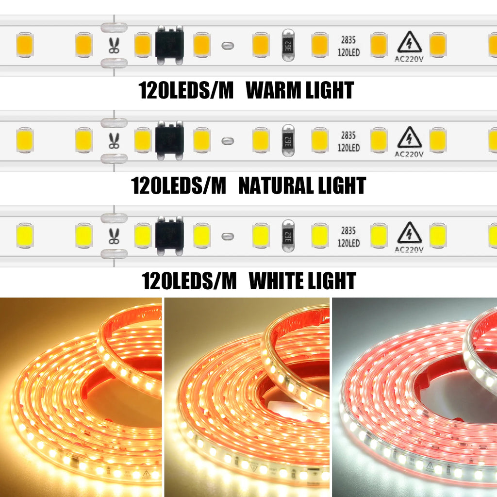 220V LED Strip Light 0.5m 5m 10m 20m 25m 30m 40m 2835 120LEDs Flexible LED Tape with Adhesive Tape Waterproof Ribbon Light