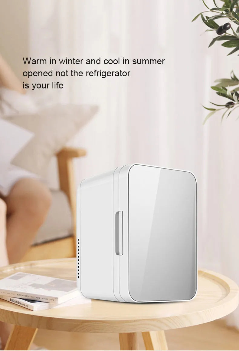 12V/220V Mini Fridge Refrigerator Beauty Cooler Warmer Refrigerators Constant Temperature Skincare Preservation for HOME CAR