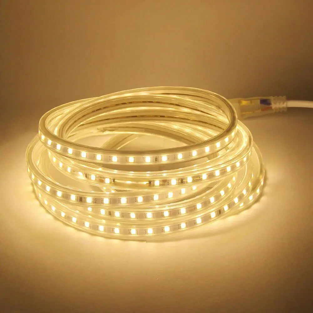 LED Strip Light 220V Waterproof Led strip High Brightness 5050 Flexible Kitchen Outdoor Garden Led Lights With Power Plug 1M-25M